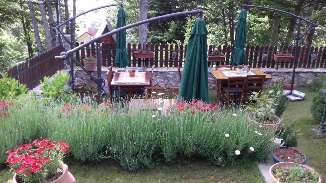 Restaurant And Apartments - T'Ga Za Jug Lazaropole מראה חיצוני תמונה